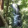 Big Basin Redwoods State Park (SP)