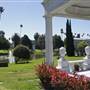 Hollywood Forever Cemetery