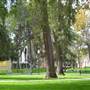 University of Southern California - USC