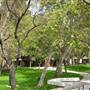 University of Southern California - USC