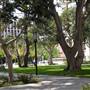 University of Southern California - USC
