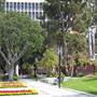 University of Southern California - USC