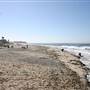 Cardiff State Beach (SB)