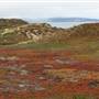 Fort Ord Dunes State Park (SP)