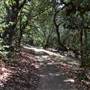 Castle Rock State Park (SP)