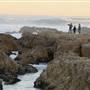 Asilomar State Beach and Conference Grounds