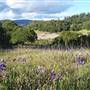 Trione-Annadel State Park (SP)