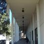 California State University, Fresno