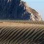 Morro Strand State Beach (SB)