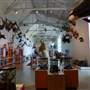 Museum of Natural History, Los Angeles