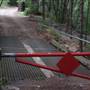 Montgomery Woods State Natural Reserve (SNR)