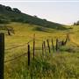 Pacheco State Park (SP) and Windmill Farm / Wind Energy