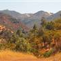 Mount Diablo State Park (SP)