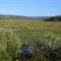 Harry A. Merlo State Recreation Area (SRA)