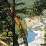 Standish-Hickey State Recreation Area (SRA)