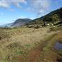 Sinkyone Wilderness State Park (SP)