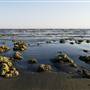Salton Sea State Recreation Area (SRA)