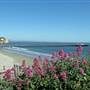Avila Beach