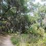 Whiting Ranch Wilderness Park