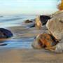 South Carlsbad State Beach (SB)