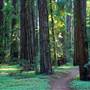 Hendy Woods State Park (SP)