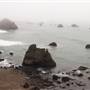 Sonoma Coast State Park (SP)