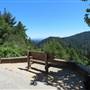Henry Cowell Redwoods State Park (SP)