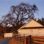 Henry W. Coe State Park (SP)