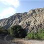 Los Padres National Forest - Monterey Ranger District