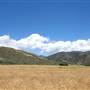 Los Padres National Forest - Monterey Ranger District