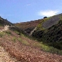 Cheeseboro / Palo Comado Canyons - National Park Service (NPS)