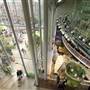 California Academy of Sciences