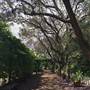 Earl Burns Miller Japanese Garden - California State University Long Beach - CSULB