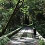 Redwood National & State Parks