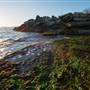 McLaughlin Eastshore State Park State Seashore (SP) - East Bay Regional Park District