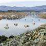 Don Pedro Lake Recreation Area
