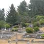 Ferndale Cemetery