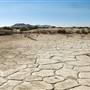 El Mirage Dry Lake - Bureau of Land Management - BLM