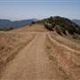 Topanga State Park (SP)