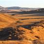 Panoche Hills - BLM