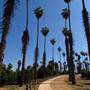 California Citrus State Historic Park (SHP)