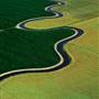 Sacramento-San Joaquin Delta