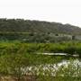 Ballona Wetlands Ecological Reserve - California Department of Fish & Wildlife (CDFW)