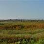 Ballona Wetlands Ecological Reserve - California Department of Fish & Wildlife (CDFW)