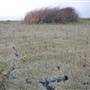 Yolo Bypass Wildlife Area - California Department of Fish & Wildlife (CDFW)