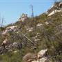 Bonny Doon Ecological Reserve - California Department of Fish & Wildlife (CDFW)