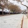Roads and Surfaces at Exposition Park