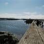 Elkhorn Slough National Estuarine Research Reserve - California Department of Fish & Wildlife (CDFW)