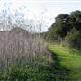 Elkhorn Slough National Estuarine Research Reserve - California Department of Fish & Wildlife (CDFW)