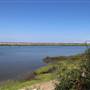 Bolsa Chica Ecological Reserve - California Department of Fish & Wildlife (CDFW)